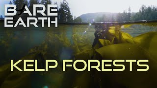 Bare Earth: Protecting Our Underwater Kelp Forests