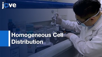 Multilayered Hydrogel Bioink In 3D Bioprinting For Homogeneous Cell Distribution l Protocol Preview