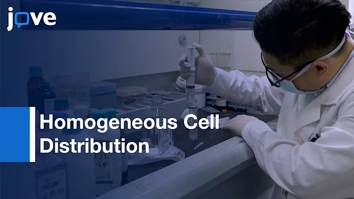 Multilayered Hydrogel Bioink In 3D Bioprinting For...