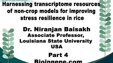 Bioingene.com Webinar on ... non-crop models for improving stress resilience in rice [Part 4 of 4]