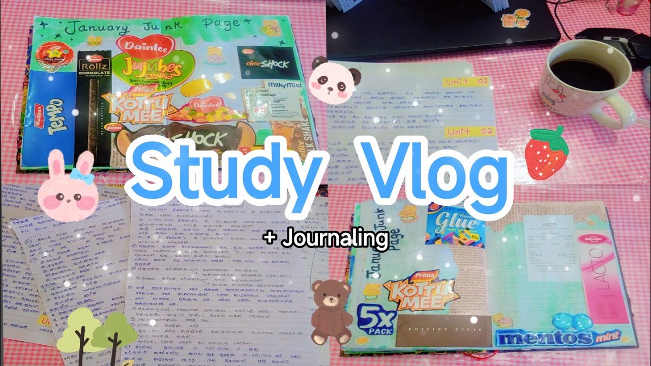 මම කම්මැළි දවස් වල ආසාවෙන් පාඩම් කරන විදිය | STUDY VLOG 🫧🧚 | සිංහල ❤️ | JOURNALING කරමුද  🎀💗🫧