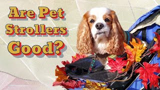 Are Pet Strollers Good?  Are Pet Strollers Worth It?