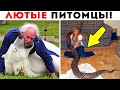 55 Лютых Домашних Питомцев!