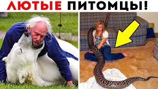 55 Лютых Домашних Питомцев!