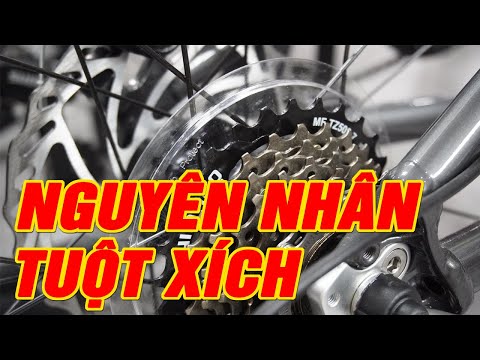 Video Nguyên nhân gây ra hiện tượng đạp lùi bị tuột xích ở... - youtube