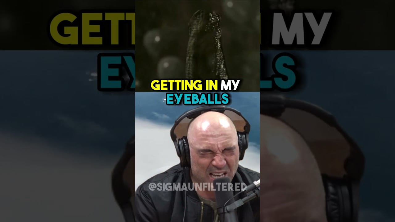 Why you MUST NEVER eat bear meat | JRE