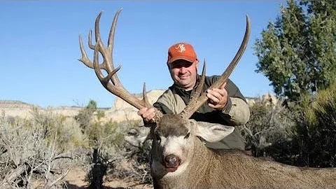Huge Unique Mule Deer on the Paunsaugunt - MossBack
