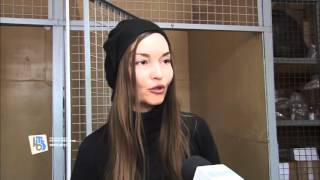 В Курске неизвестные взорвали петарду в пасти собаки В Курске неизвестные взорвали петарду в пасти собаки