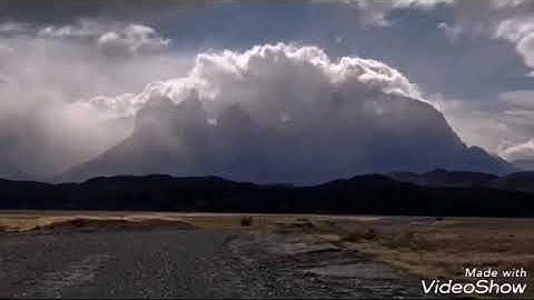 سورة المسد    الشيخ محمد المحيسني