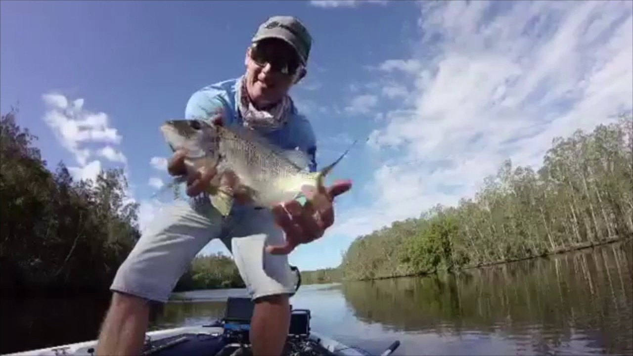 How to catch bream on Ecogearaqua. Manning River Highlights - Steve