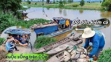 8H sống trên Cồn đi tưới đậu bắp | Đổ dớn kiếm cá . Cuộc sống trên Cồn mùa nước nổi. 
