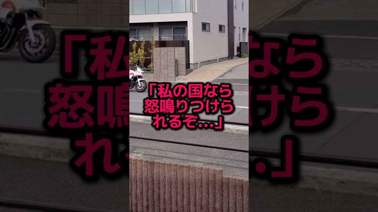 日本の交通違反の取り締まり風景が別世界すぎると世界中で話題に #海外の反応