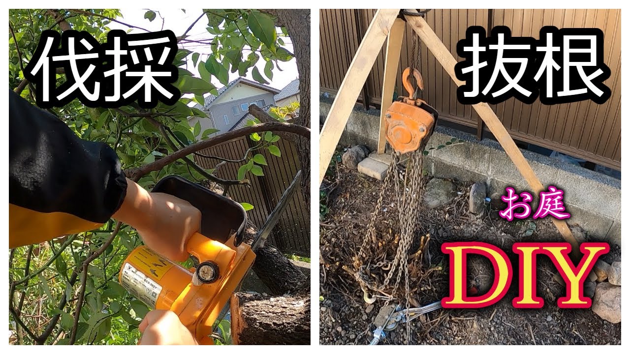 竹 の 根 を 掘る _ 竹の根っこはどうなっているか : 意外にコツ有り?上手なタケノコの掘り方 – CXKFQ