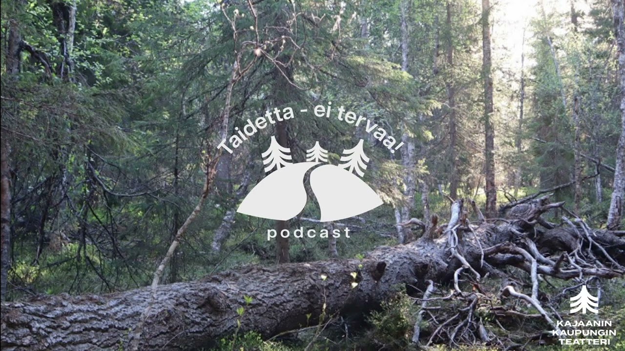 Taidetta ei tervaa! Podcast jakso 2 - Vaara-Kainuun Taidekansallispuisto vieraana Laura Mellanen