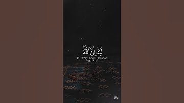 سورة الزخرف❤️🎧#القرآن_الكريم #القرآن #قرآن #تلاوة_خاشعة #quran #like #subscribe #mydesign #explore