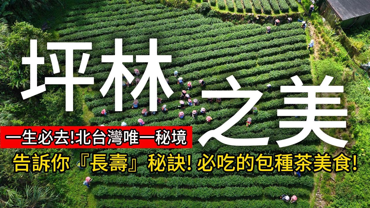 北部唯一❗茶香桃花源秘境❗不只有「包種茶」做成的美食，還意外發現『延年益壽』的秘訣❗｜坪林❌新北｜TAIWAN｜