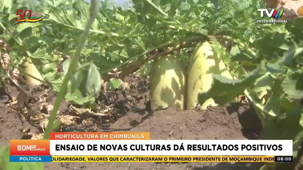 Bom Dia Moçambique 20.10.2025.2025