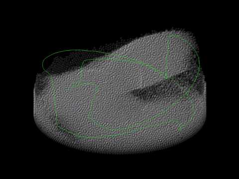 Pathlines: One Particle Marked