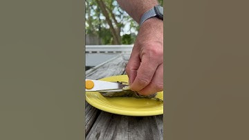 Soft Shell Crab Explained #crab #softshellcrab #seafood