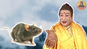 Vì sao chuột đứng đầu trong 12 Con giáp Truyền thuyết hay nhất | Triết lý cuộc sống