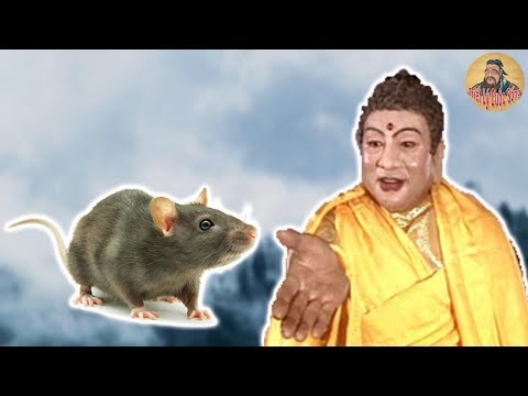 Video Vì sao chuột đứng đầu trong 12 Con giáp Truyền thuyết... - YouTube