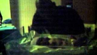 MPEG0001.AVI