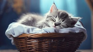 Calming Music for Anxious Cats: Soothing Sounds for Deep Relaxation and Sleep