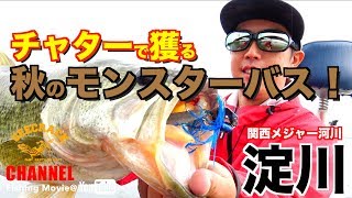 【バス釣り】関西メジャー河川 淀川！チャターで獲る秋のモンスターバス（小田圭太）