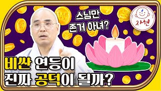 비싼 연등이 진짜 공덕이 될까?-스님만 존거 아녀??? - 부처님오신날