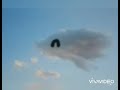 鳥になって  はなうた。