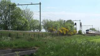 20110510 Soest (Eempolder) 1309-1331