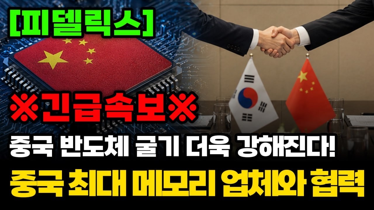 [피델릭스] 중국 반도체 굴기 더욱 강해진다!중국 최대 메모리 업체와 협력! 작정한 세력?! 필수시청! #피델릭스