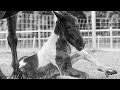 New Life on The Farm - Miniature Horse Pinto Filly