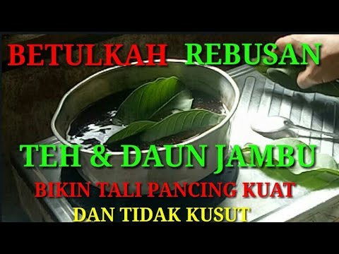 Ayo ikuti terus channel MANTUL Agar kita dapat saling berbagi seputar Mancing dan Tutorial... Silahk. 