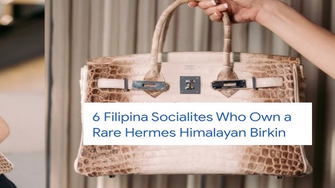 6 Filipina Socialites who owns a Rare Hermes Himalayan Birkin Bag