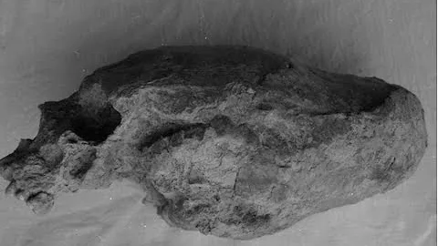 NEPHILIM? Elongated Skulls! Interview w/ Derek Olson