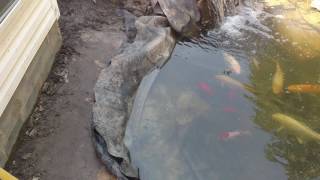 Pond Water Bubble Fix