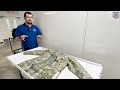 Mississippi Museum of History Exploration Quiz