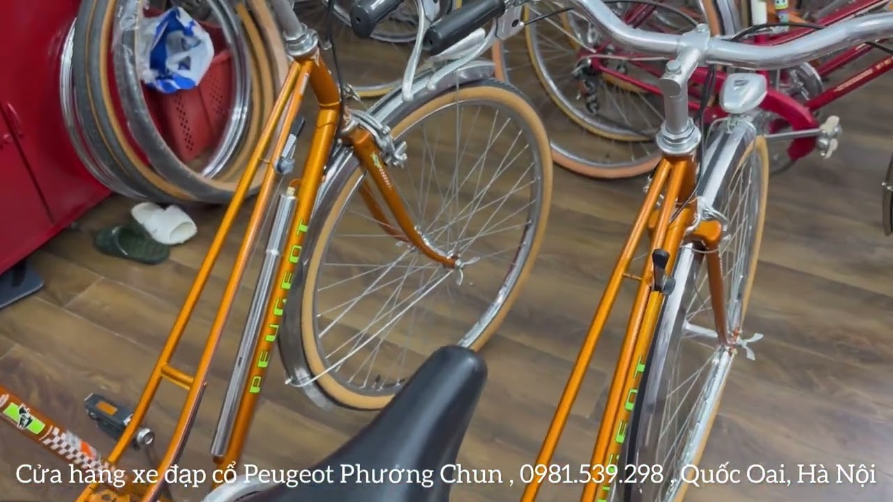 GIỚI THIỆU SIÊU PHẨM XE PEUGEOT CÁ VÀNG || 0981.539.298 || #video #vlog