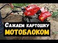 Как сажать картошку мотоблоком