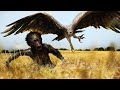When Giant Eagles Hunted Us