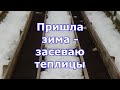 Зимние посевы в теплице. Подзимний посев разных овощей, зелени и цветов. Естественная стратификация.