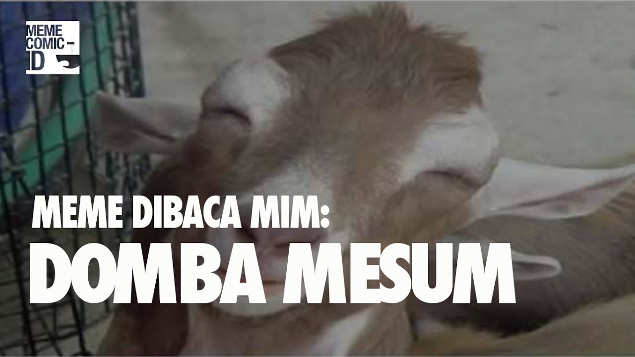 Meme Lucu Idul Qurban Expo DP BBM