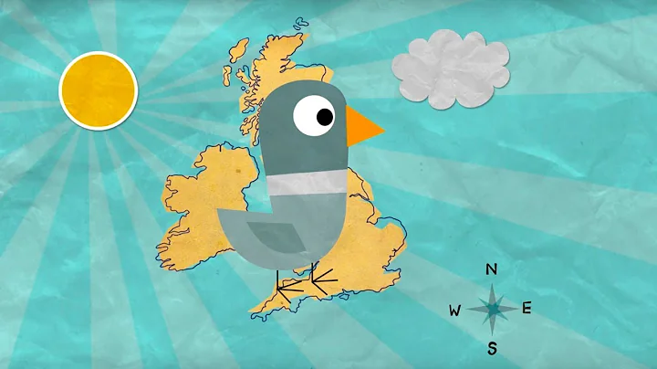 How Do Homing Pigeons Get Home? | Extraordinary Animals | BBC Earth - DayDayNews