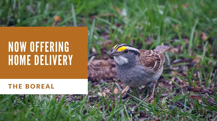 Now offering home delivery: the Boreal