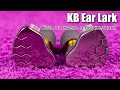 Обзор гибридных наушников KB Ear Lark