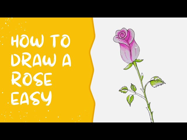 How to Draw a Rose for Beginners - HelloArtsy