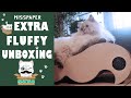 Designer cat furniture from misspaper  extra fluffy unboxing 