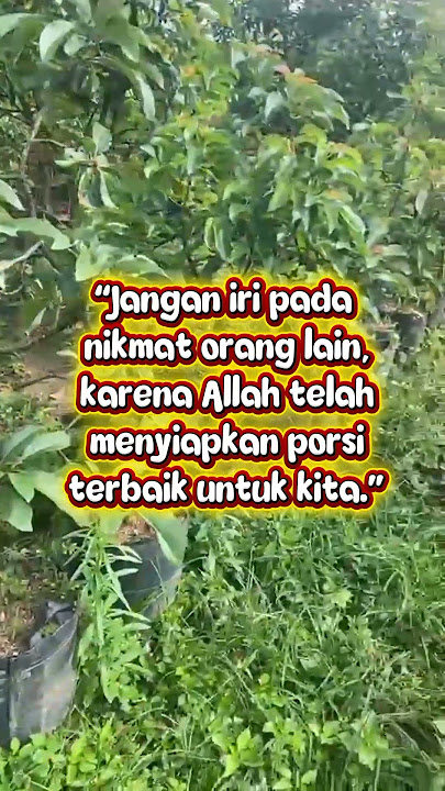 Jangan Iri Pada Nikmat Orang Lain, Karena Allah Telah Menyiapkan Porsi Terbaik Untuk Kita.