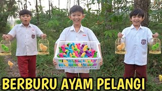 BERBURU AYAM WARNA WARNI VIRAL DI HUTAN DAPET BANYAK!